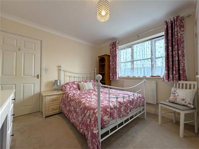 Picture 14